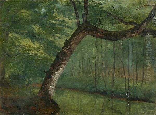 A pond in the woods. - view 1