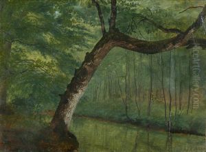 A pond in the woods. by Janus Andreas Bartholin La Cour