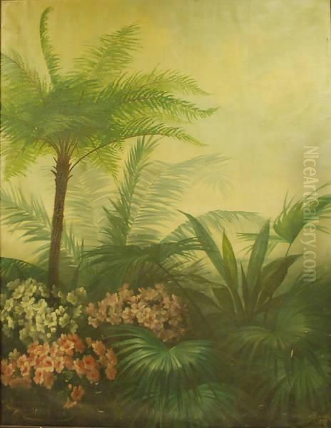 Jardin Tropical - view 1
