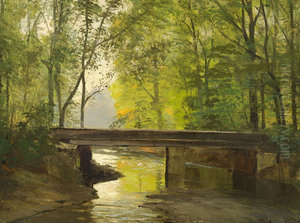 A river running through a forest. A river running through a forest.