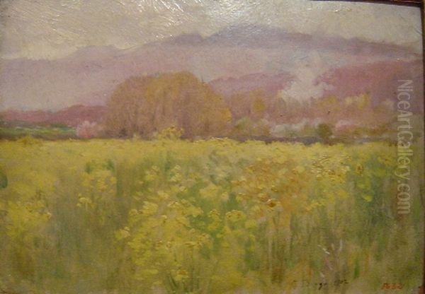 Paisatge - view 1