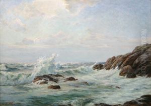 A coast with rocks and surf.