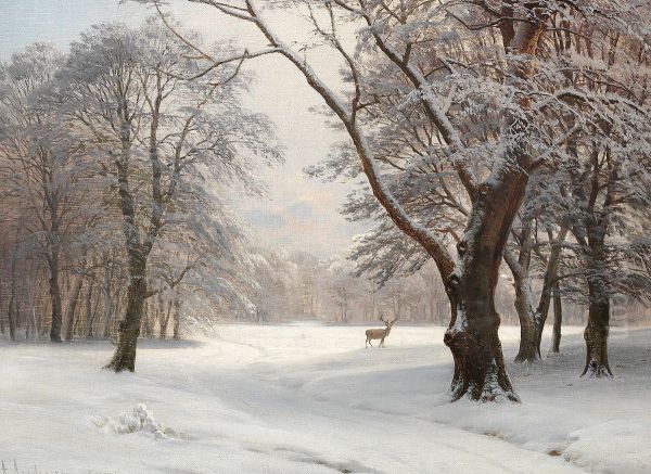 A winter day in Jaegersborg Dyrehave. - view 1