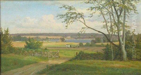 A farmer is ploughing his fields near an inlet. - view 1