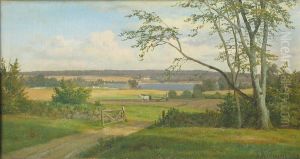 A farmer is ploughing his fields near an inlet.