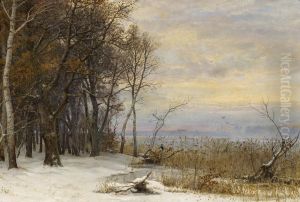 Winter day at the shore of a lake. by Anders Andersen-Lundby