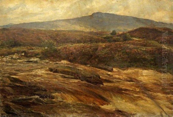 Highland Landscape - view 1