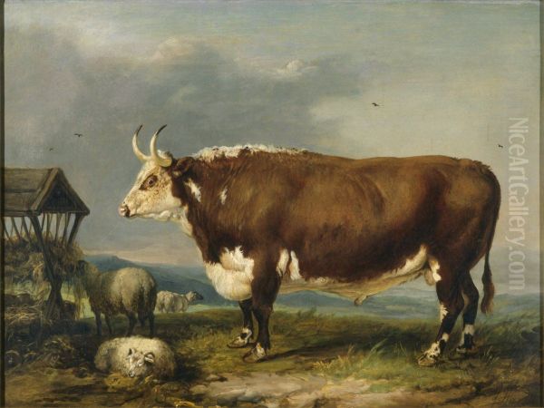 Hereford Bull with Sheep by a Haystack - view 1