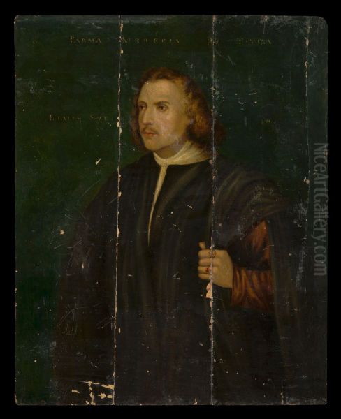 Dr Parma - view 1