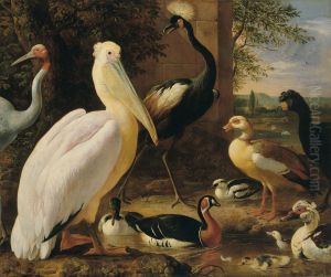 Pelican, crowned crane, curassow, sarus crane and ducks in a river landscape