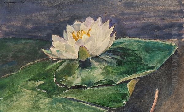 Water Lily - view 1