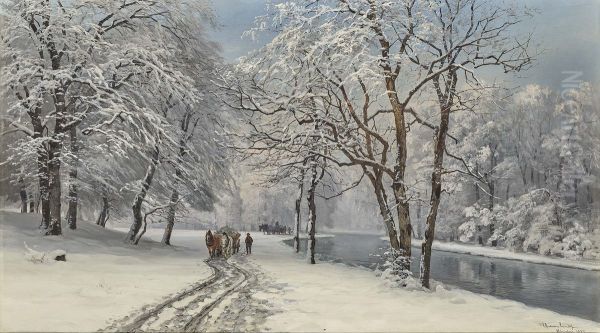 The English Garden in Munich in winter. - view 1