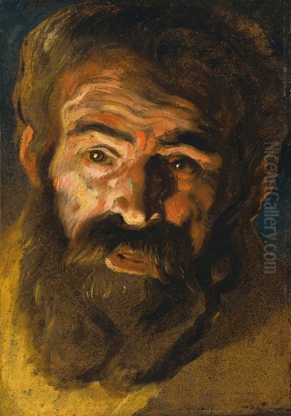 Study for the head of Saint Christopher - view 1