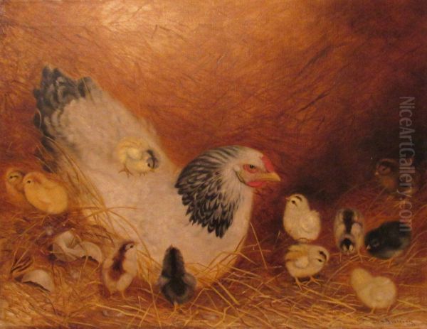White Hen in Straw with 11 Chicks - view 1
