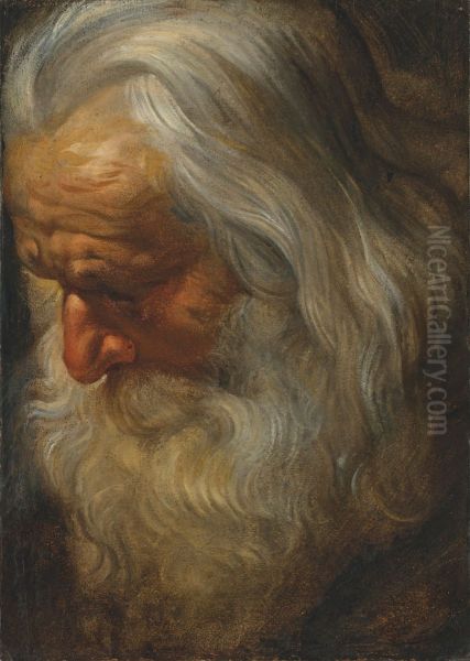 Head study of a bearded old man - view 1