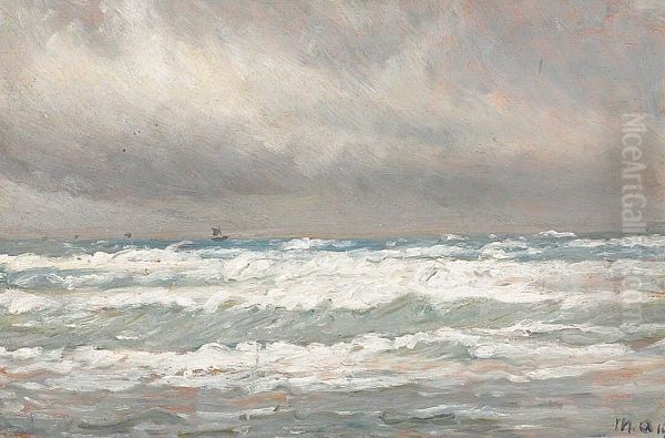 Coast on a windy day. - view 1