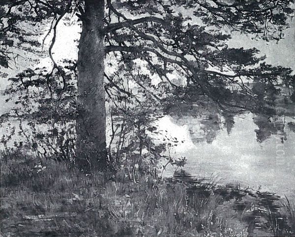 Kiefer am Wasser - view 1