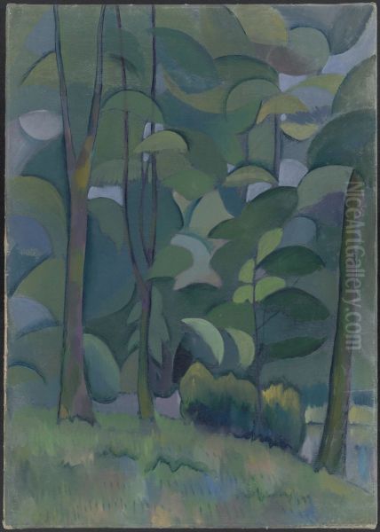 Forest - view 1