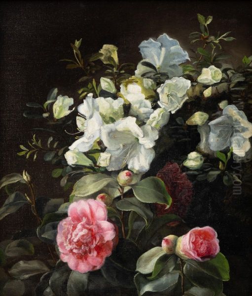 Forarsblomster. - view 1