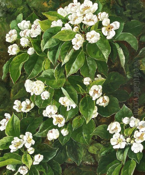 Frugtgren med hvide blomster. - view 1