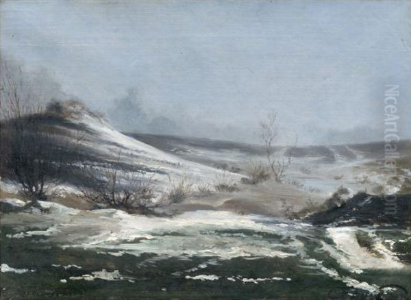 Dansk snelandskab. - view 1