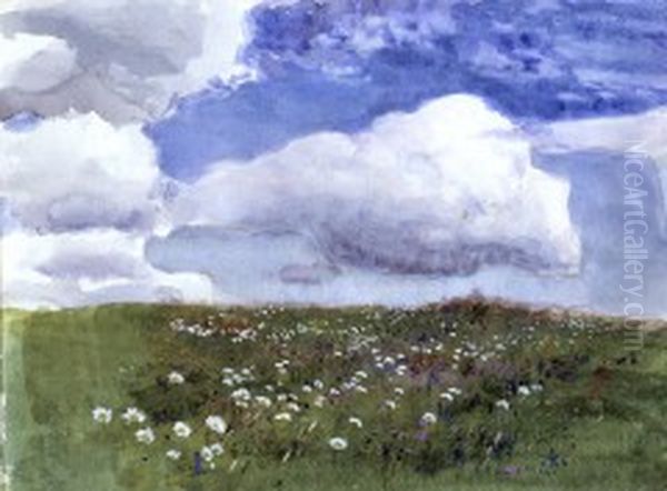Flower meadow - view 1