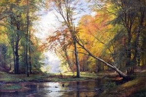 Forest landscape, autumn.