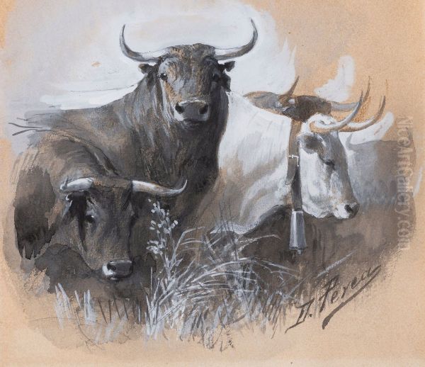 Toros y cabestros - view 1