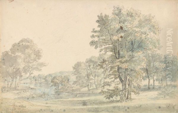 Dansk skoglandskap - view 1