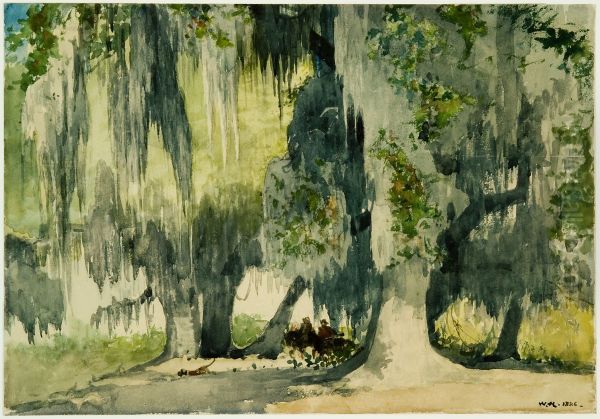 Among the Oaks (Live Oaks) - view 1