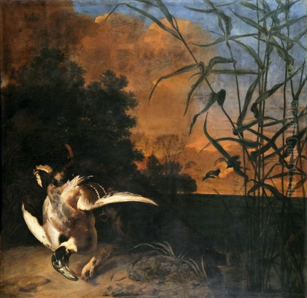 Duck hunt. - view 1