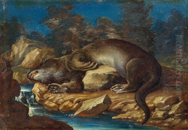 Lying otter on a rocky shore - view 1
