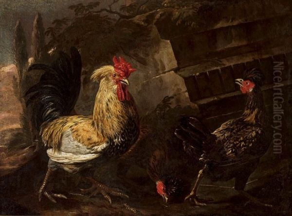 Cock and hens. - view 1