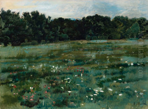 Landschaft mit Wiese und Waldrand