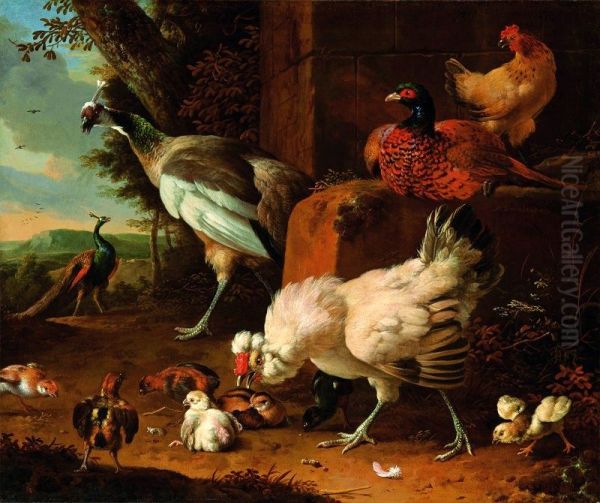 Domestic fowl with a pheasant and peacocks. - view 1
