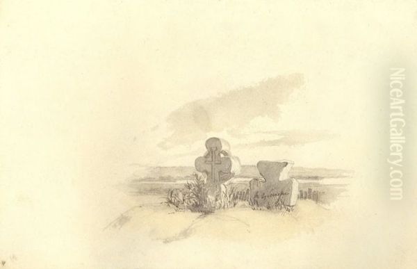 Kam'ani hresti v Subotovi (Sevcenko) - view 1