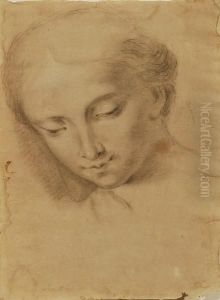 Viso Di Fanciulla by Francesco Cappella