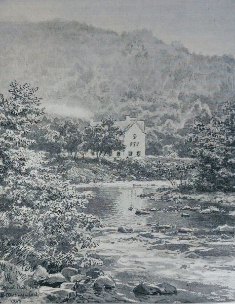 By the River Llugwy in Wales - view 1