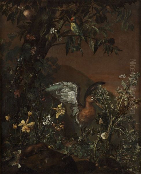 Undergrowth - view 1