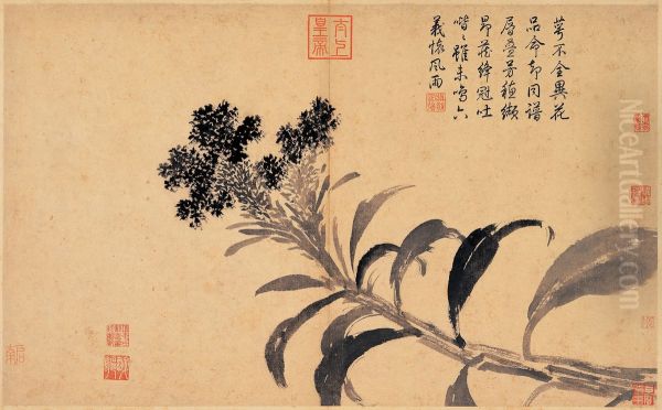 Cockscomb - view 1