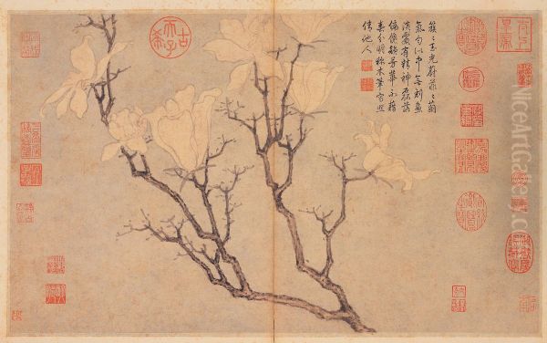 Magnolia - view 1