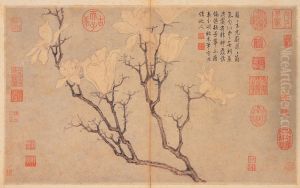 Magnolia by Shen Zhou