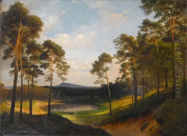 Extensive wooded landscape with a lake in the distance - view 1