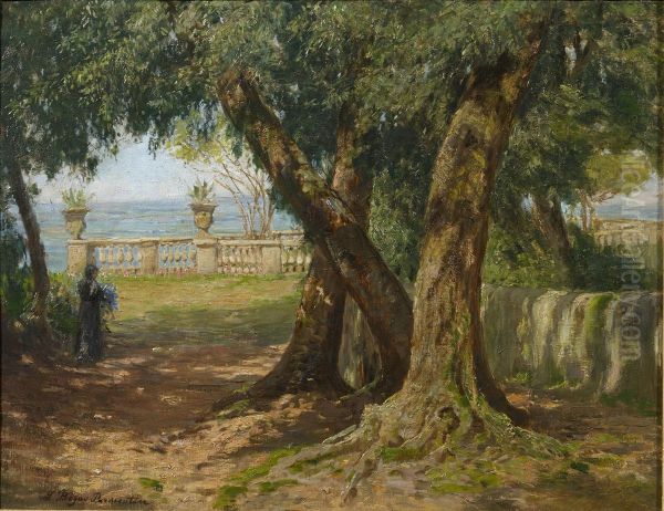 Unter Olivenbaumen im Park von Taormina - view 1