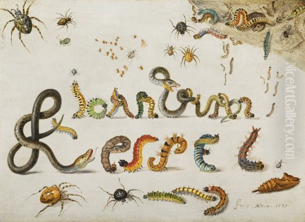 Garden and house spiders with grass snakes and caterpillars contorted and entwined to spell the artist's name - view 1