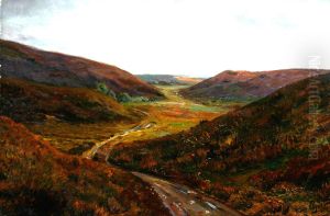 A hilly landscape scenery.