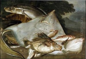 Still life of fish on rocks, a skate in centre and large eel curling behind