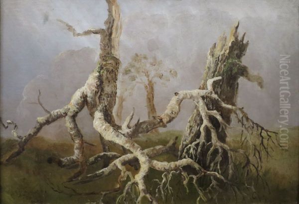 Dying Trees - view 1