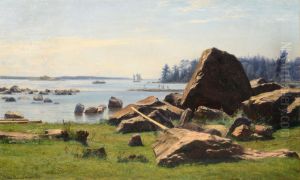 A coast with large stones. A coast with large stones.