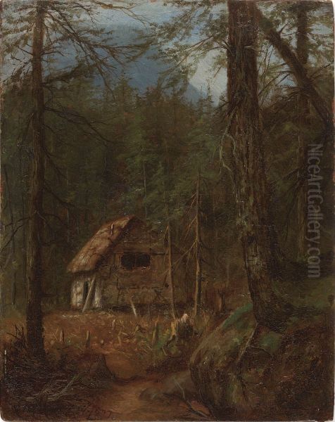 Home in the Wilderness - view 1